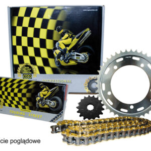 REGINA ZESTAW NAPĘDOWY BMW S 1000RR (14-18), S 1000R (14-20) (17/45/120/525ZRP) ŁAŃCUCH DO 1300 CCM ZŁOTY (Z-RING), ZĘBATKA P/T AFAM